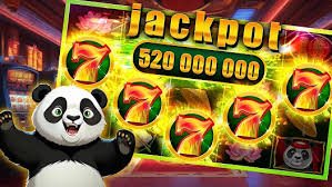 66qq
