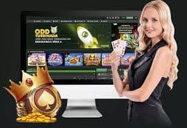 66qq